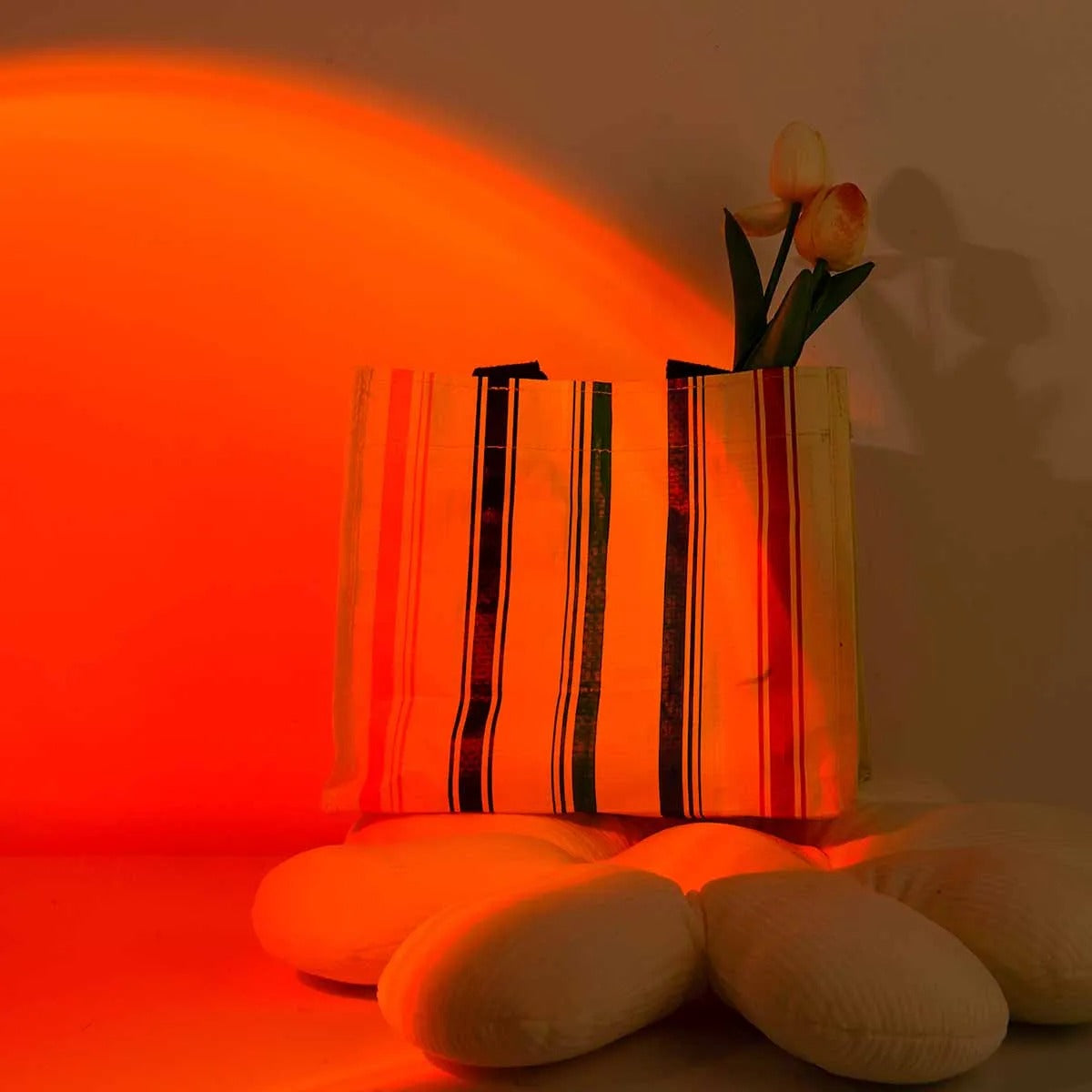 Sunset Projection Light